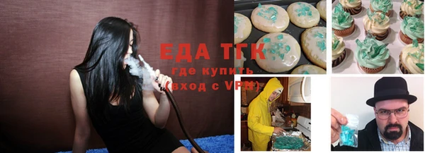 дживик Туринск