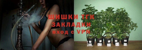 дмт Тихвин