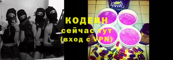 дживик Туринск