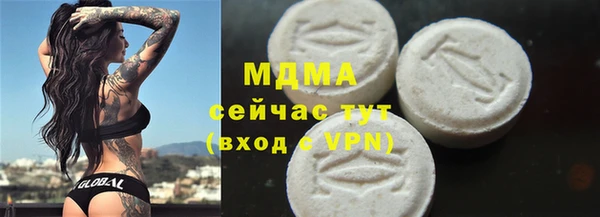 дживик Туринск