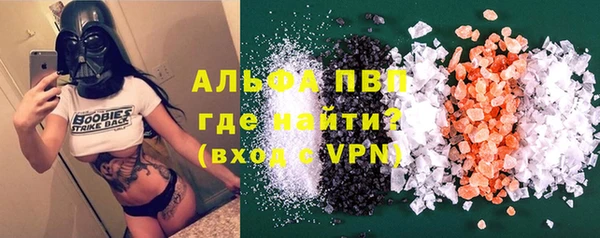 дживик Туринск