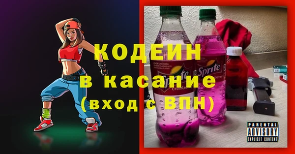 дживик Туринск